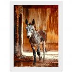 1060e6f6-d4a7-4cc7-af65-4d2fe6da1348