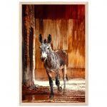 2887fa2d-d4e5-4e73-8b97-5a04678975ed