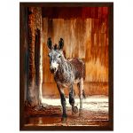 47710141-6d3c-46c5-a1f7-62d1a5dcf6e1