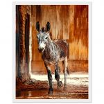 9cb9d499-1d1b-45b2-935b-2152788d2e91