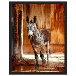 a70016d3-033d-4be1-a2e0-04faa847bc2f