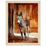 a9079b03-e24a-4c70-a91e-842ffdcf2c0e