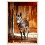 d46acf22-cf1d-4e73-bbfd-14be32d4c752