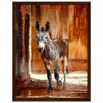 e52052bc-ece1-43d8-94ed-b2f190bb3991