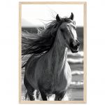 006aa436-904a-432e-91ca-b064ee7a7ddd