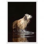 0090deab-11d3-4aa3-aa19-f76eafde496a