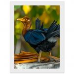 03cc2c54-2947-470f-8b8c-c3e8816a9baa