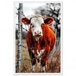 05f69467-0b1b-455e-87ac-ab54df7ef59c