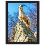 0fc8a213-63ca-47fe-84fc-c7bd93e97ffe