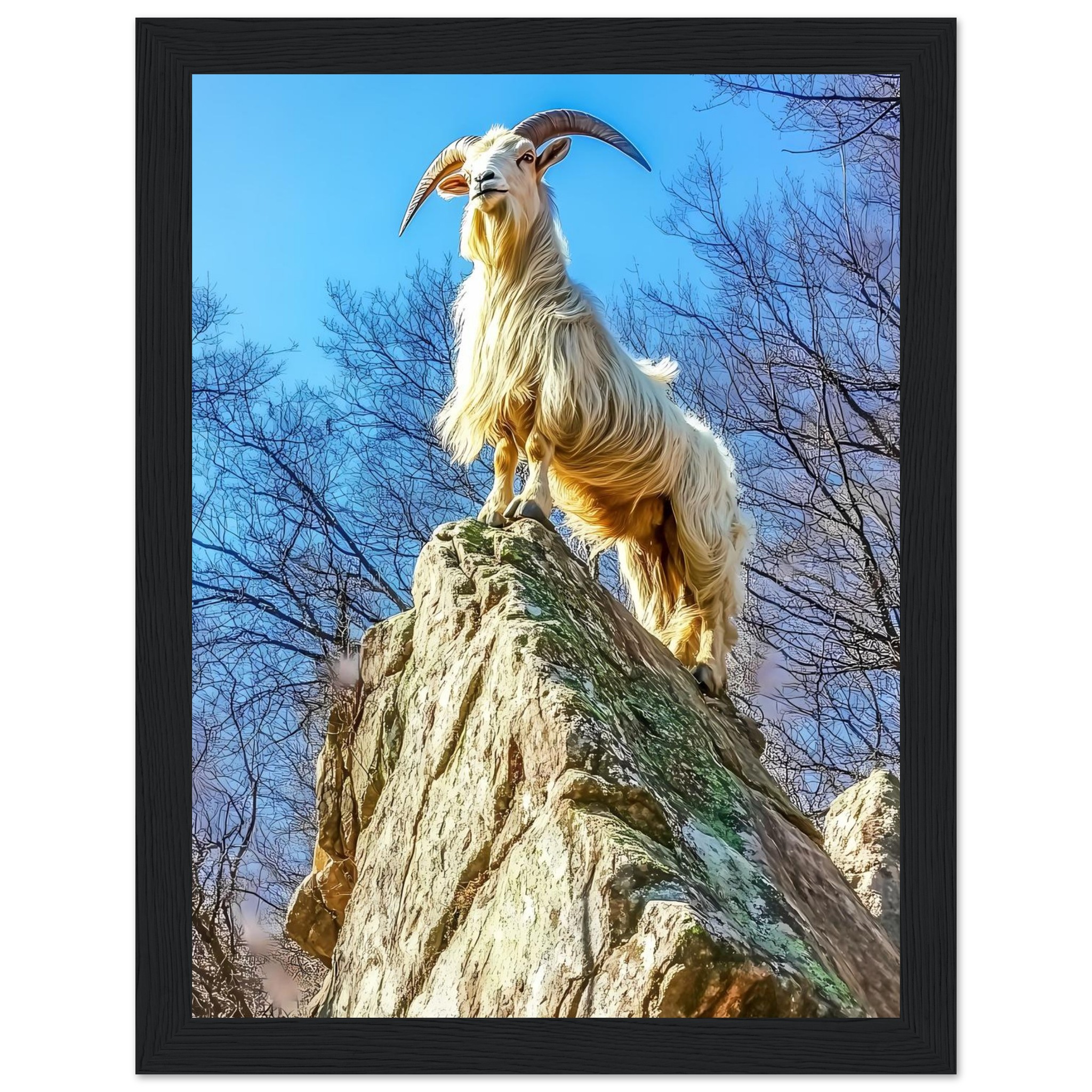 0fc8a213-63ca-47fe-84fc-c7bd93e97ffe