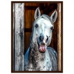 13277533-13c4-48f9-a4dc-2459c2ed76b2