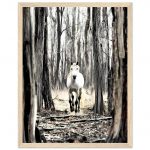 1614fa09-a6c2-41eb-984a-a7fb1b702559