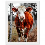 17951797-136d-4bc1-8b03-7c91d7f85cc2