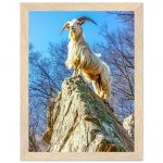 180289a1-7e7b-48ea-8f77-4f1c6fe27d26