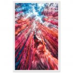 18605857-8ecf-4afd-960f-6cce1c5a9c62