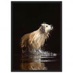 1bbe0d4e-7dd1-4115-a921-9f24b3176baa