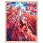 1dd932e4-3fc9-4a13-8b2e-a025f64accfe