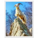 1f46fbfc-36a6-44ea-8f07-e887f6301678