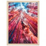 251594dd-23a0-4b41-b3b3-ed817a74298c