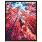 258191cc-bf7a-488e-8e5a-22a425d03425