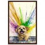 26e8190d-e0bf-4892-99c0-69b9b1ace072