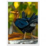 29a60cb8-b7f3-4835-9afd-23e18615dbc9