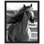 2a647b89-66b5-4d71-a91a-b9ec30827aec