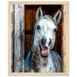 2b52cd63-f139-485f-b21f-bed693799124