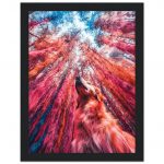 2b7902ff-6c67-440a-b290-25bad837514f