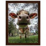 2c9b8538-d66d-4cad-92db-4d56e0214411