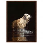 2e7675b4-8c13-49e9-a738-385fd7966e6e