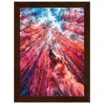 2e79217e-5d36-4798-878c-0f06d5f2cf28