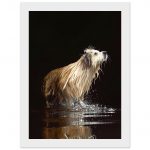 2f4dcdcd-94f9-4619-9c3d-823689457ff1