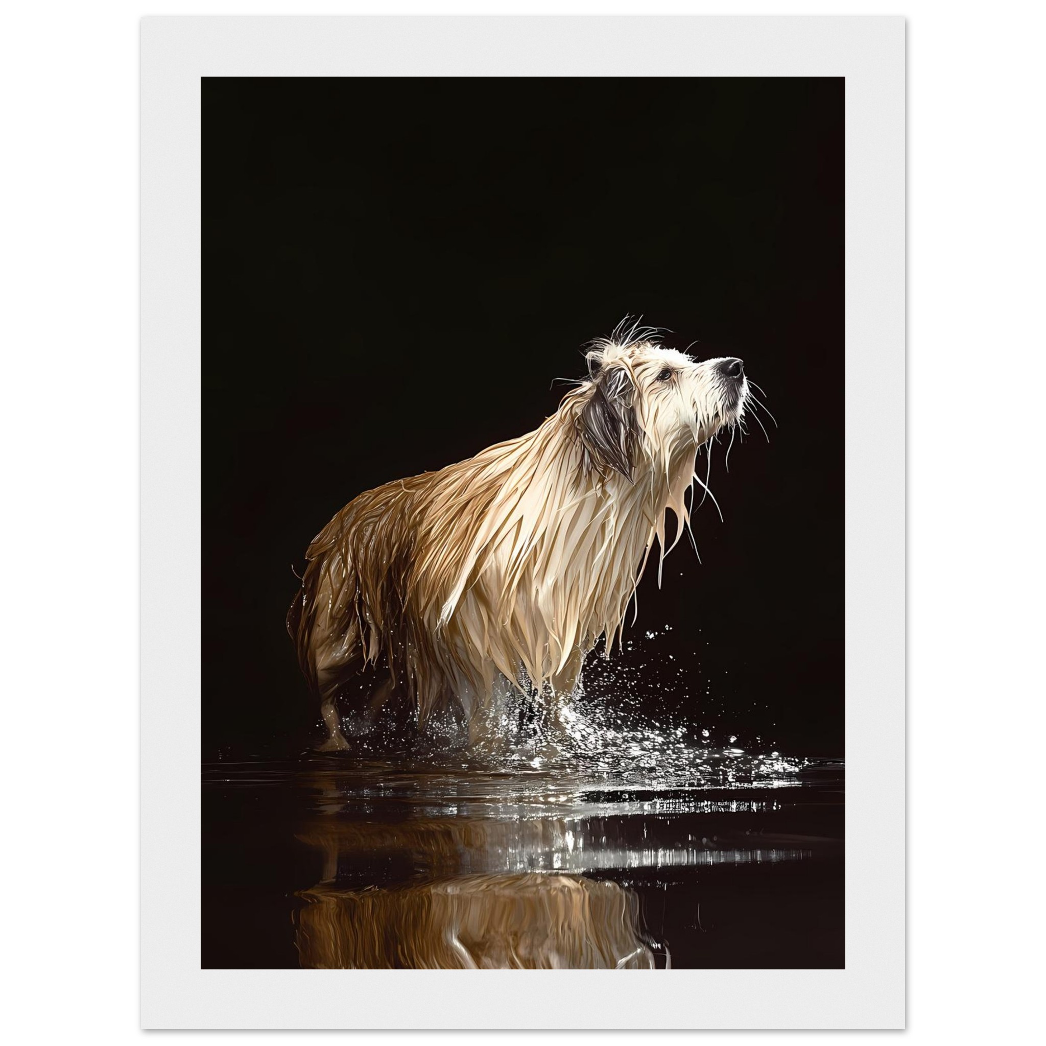 2f4dcdcd-94f9-4619-9c3d-823689457ff1