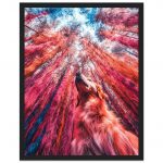 2f5b2307-efc7-4482-8afa-12d1b5fd89fe