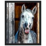 2fe9be46-575d-4231-88ba-d2ccef842036