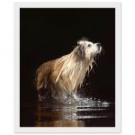 2ff8e11e-8f60-4160-a73c-9da9eec8e9bb