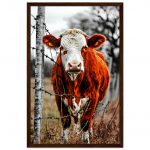 32154a6e-f8ce-4f7d-9c27-775fadef133d