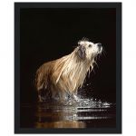 32589a0e-61cb-40e6-8683-a6d853c3e65a