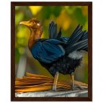 33ab9418-94b8-4d06-998d-606f4856bb8d