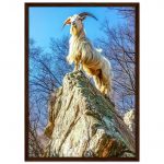 34b6b097-bdb0-4503-b950-9513f4904a3e