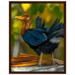 34c7a443-e7c9-4cf7-9904-98e6b384206e