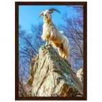 35b865bb-2788-4e04-9e5f-92d8294cbffc