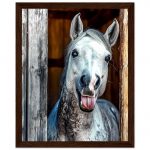 3724c51f-0e91-4bea-8e4e-f419ac37f031