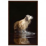 3781fa94-abc9-4abc-9076-1c98e8c305de