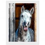 38966840-3981-4797-af1f-dd0bdf2114fc