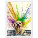 39488bf3-6a00-49ab-b054-0213e389e3dc