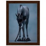 396d51c7-8700-4776-9fdd-eec23d650260