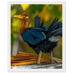 3a13bb00-9e94-4494-80c7-2032ca4aa9b4