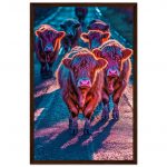 3a9227c5-f93f-46bd-bd97-534bf248db32